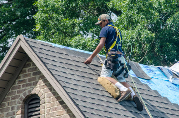 Best Shingle Roofing Installation  in Fishers, IN